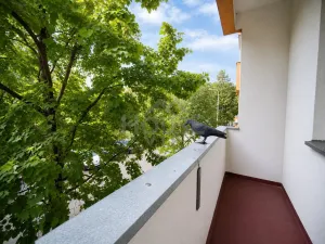 Prodej bytu 3+1, Praha, Prouzova, 75 m2