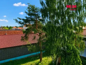 Pronájem bytu 3+1, Velký Osek, Revoluční, 60 m2