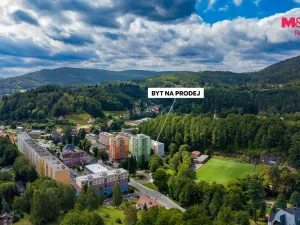 Prodej bytu 2+1, Desná, Krátká, 55 m2