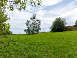 Prodej pozemku pro bydlení, Velké Popovice, 1493 m2