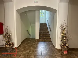 Pronájem bytu 1+1, Bruntál, Ruská, 43 m2