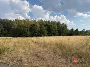 Prodej komerčního pozemku, Plzeň - Černice, Písecká, 4386 m2
