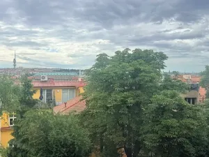 Prodej půdního prostoru, Praha - Holešovice, Skalecká, 176 m2