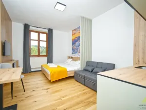 Prodej bytu 1+kk, Branná, 22 m2