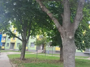 Pronájem bytu 2+1, Postoloprty, Třebízského náměstí, 64 m2