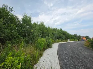 Prodej pozemku pro bydlení, Štíhlice, 3092 m2