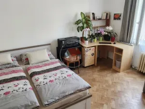 Prodej bytu 3+1, Chotěboř, V Drážkách, 67 m2