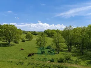 Prodej zemědělského objektu, Vrchotovy Janovice, 952 m2