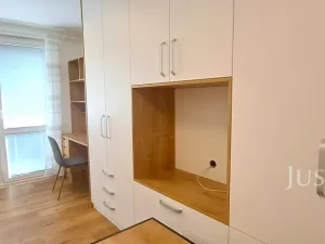 Pronájem bytu 1+1, Písek, 17. listopadu, 41 m2