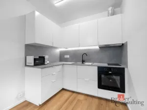 Pronájem bytu 2+kk, Brno - Zábrdovice, Příční, 54 m2