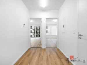 Pronájem bytu 2+kk, Brno - Zábrdovice, Příční, 54 m2