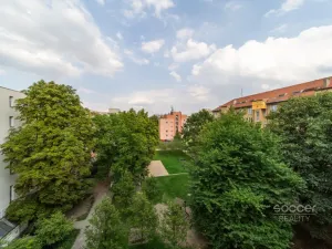Prodej bytu 3+kk, Praha - Žižkov, Loudova, 76 m2