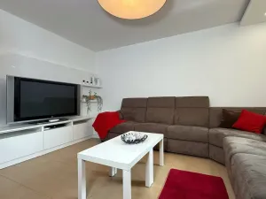Pronájem rodinného domu, Kuřim, Nová, 330 m2