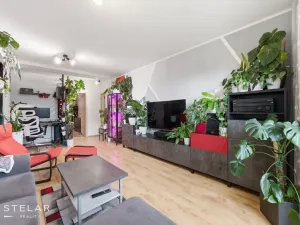 Prodej bytu 2+1, Brno, Renneská třída, 54 m2
