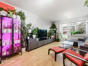 Prodej bytu 2+1, Brno, Renneská třída, 54 m2
