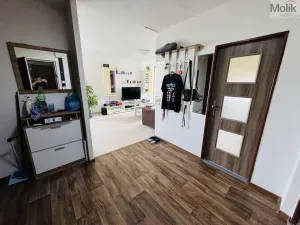 Prodej bytu 3+kk, Most, Josefa Ševčíka, 59 m2