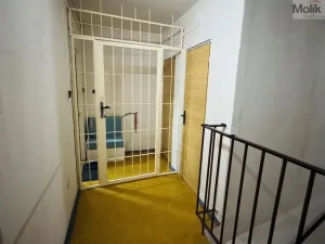 Prodej bytu 3+kk, Most, Josefa Ševčíka, 59 m2