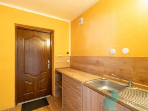 Prodej rodinného domu, Litvínovice, 235 m2