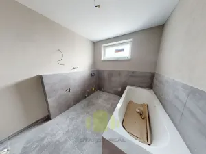 Pronájem rodinného domu, Velký Týnec, Polní, 138 m2