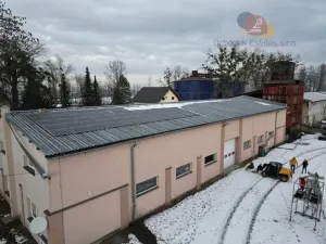 Prodej výrobních prostor, Střítež, 83826 m2