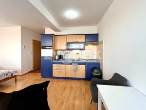 Pronájem bytu 1+kk, Zlín, Voženílkova, 26 m2