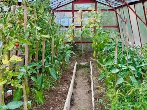 Prodej rodinného domu, Staré Hobzí, 536 m2