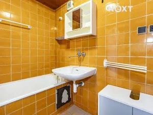 Prodej bytu 1+1, České Budějovice, Puklicova, 43 m2