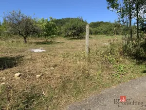 Prodej pozemku pro bydlení, Svojkov, 4351 m2
