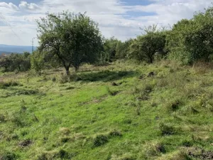 Prodej pozemku pro bydlení, Svojkov, 4351 m2