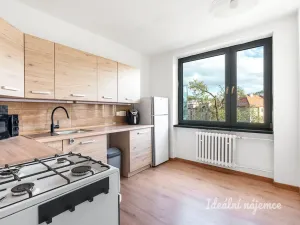 Pronájem bytu 2+1, Praha - Smíchov, U dvou srpů, 60 m2