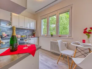 Pronájem bytu 2+1, Chomutov, Blatenská, 52 m2
