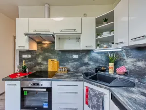 Pronájem bytu 2+1, Chomutov, Blatenská, 52 m2