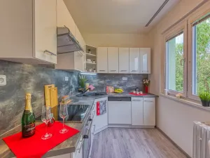 Pronájem bytu 2+1, Chomutov, Blatenská, 52 m2
