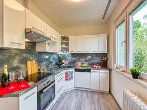 Pronájem bytu 2+1, Chomutov, Blatenská, 52 m2
