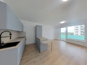 Pronájem bytu 1+kk, Třebíč, Družstevní, 28 m2