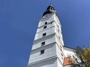 Prodej pozemku pro bydlení, Branná, 3500 m2