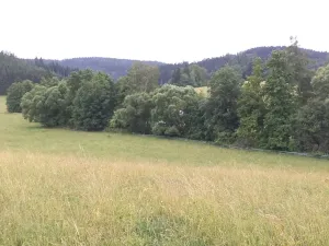 Dražba pole, Staré Buky, 10957 m2
