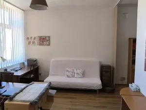 Prodej bytu 3+1, Cheb, Karlova, 126 m2