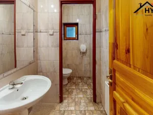 Prodej restaurace, Kvasiny, 550 m2
