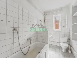 Prodej rodinného domu, Tlustice, 511 m2