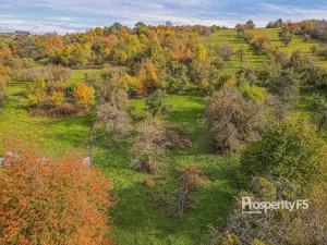 Prodej pozemku, Jankovice, 10000 m2