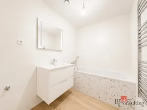 Prodej bytu 2+kk, Plzeň - Jižní Předměstí, Železná, 58 m2