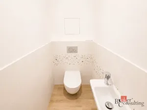 Prodej bytu 2+kk, Plzeň - Jižní Předměstí, Železná, 58 m2