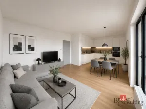 Prodej bytu 2+kk, Plzeň - Jižní Předměstí, Železná, 58 m2