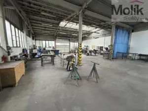 Pronájem skladu, Most - Velebudice, Obchodní, 460 m2