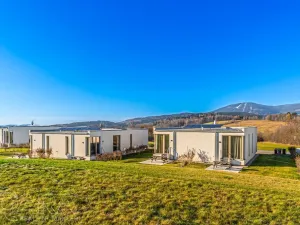 Prodej apartmánu, Mladé Buky, 63 m2