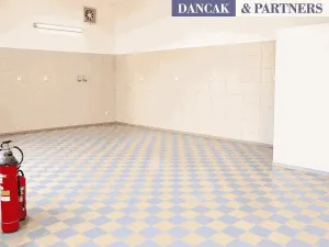 Pronájem skladu, Orlová, Slezská, 70 m2