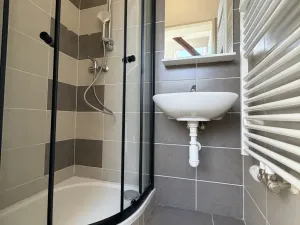 Pronájem bytu 1+kk, Brno - Zábrdovice, Francouzská, 31 m2