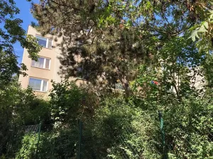 Prodej bytu 3+1, Praha - Strašnice, Nad kapličkou, 89 m2