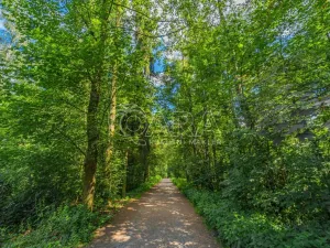 Prodej bytu 3+1, Kladno - Kročehlavy, Polská, 56 m2